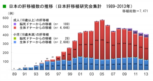 日本の肝移植数の推移1989−2013.jpg