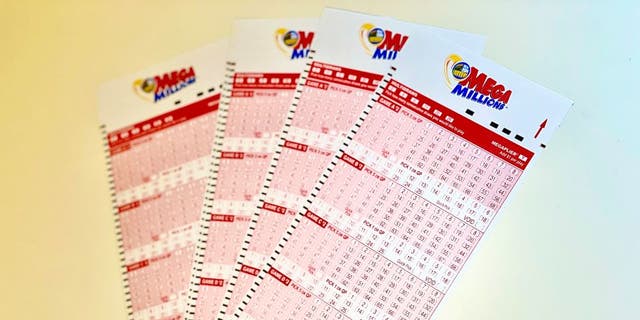 To stay safe, Mega Millions and other big prize lottery winners should protect their personal information.